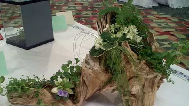 Image: North Coast Gesneriad Club Seminars with Paul Kroll