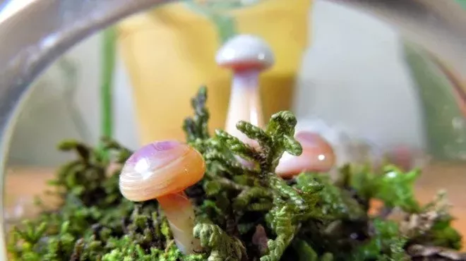 Image: Locally Sourced Terrarium Building Class at Bar Louie