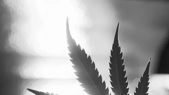 Image: Chautauqua-in-Chagrin: Marijuana