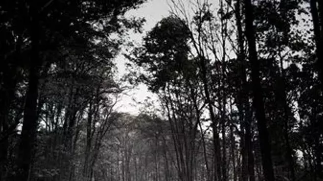 Image: July Gallery Events and Live Music