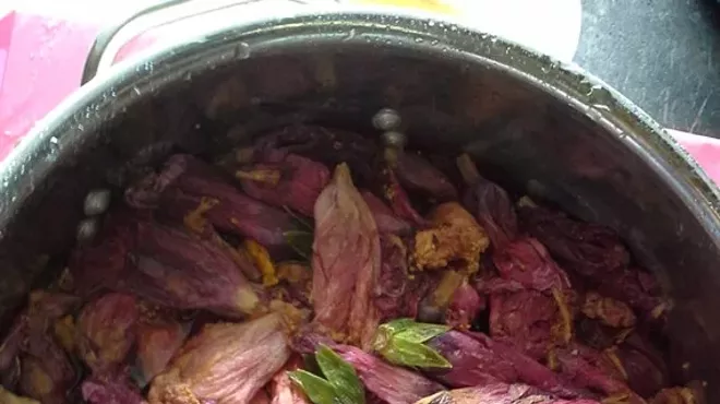 Image: Natural Dyes on Paper with Aimee Lee