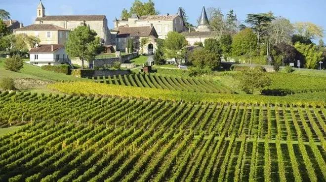 Image: France of 2009 Wine Tasting
