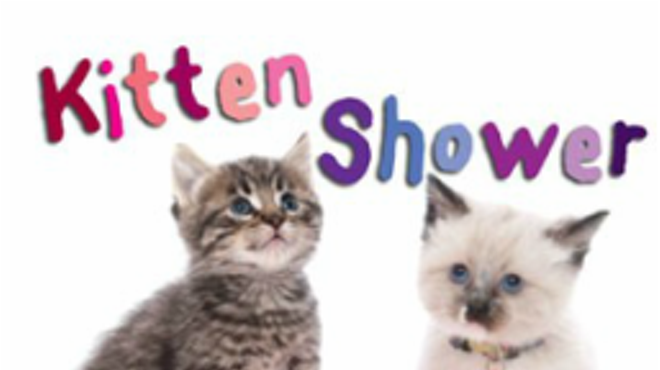 Image: Yappy Hour Kitten Shower!