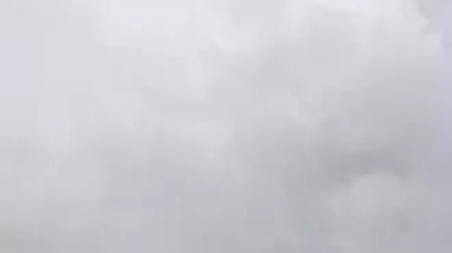 Image: Things That Fly