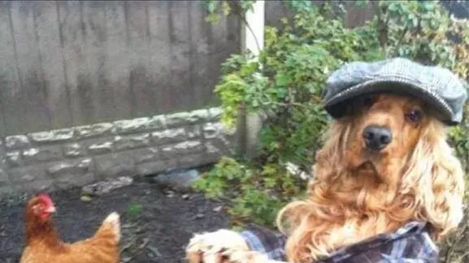 Image: Heirloom? Hybrid? Vegetable Gardening: The Sunday Shaman Workshop Series