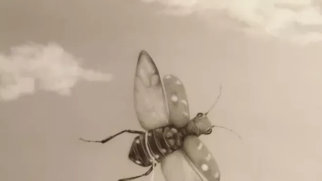 Image: SPOTLIGHT: Linda Ayala