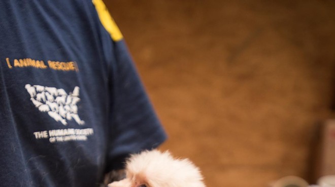 12 Ohio Puppy Mills Rank Among the Worst in U.S.
