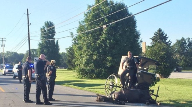 Watch Ohio Highway Patrol Stop Rogue Horse and Buggy