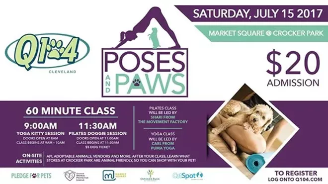 Image: Poses and Paws: Kitten Yoga and Puppy Pilates