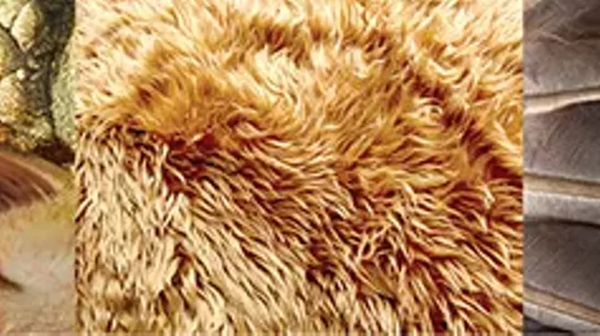 Image: Fin, Fur & Feather