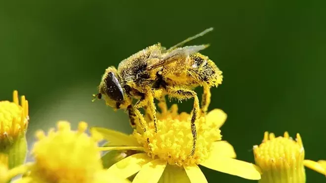 Image: 2017 Cleveland Pollinator & Native Plant Symposium