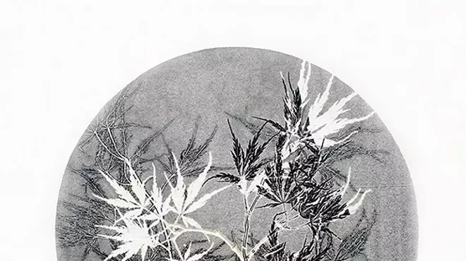 Image: Spotlight: Deborah Pinter