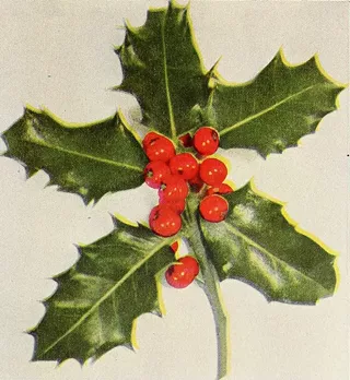 Image: Sing! An Irish Christmas