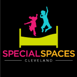 Special Spaces Cleveland Wing Ding Fundraiser