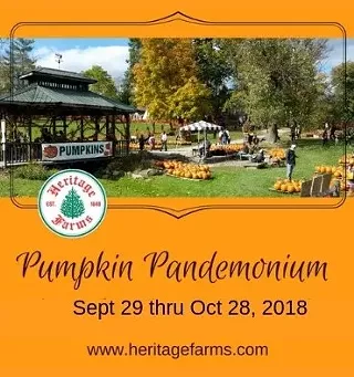Image: Pumpkin Pandemonium at Heritage Farms Peninsula