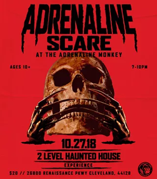 Image: Adrenaline Scare