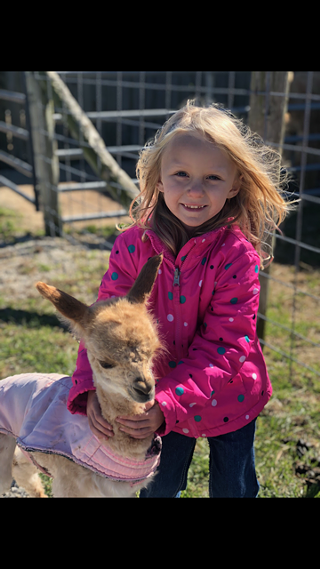 Image: The Alpaca Boutique Grand Opening Event
