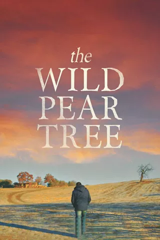 Image: The Wild Pear Tree