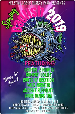 Image: Spring Badfish