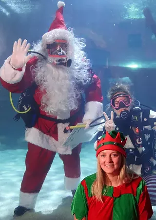 Image: Scuba Claus