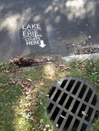 Image: Storm Drain Stenciling