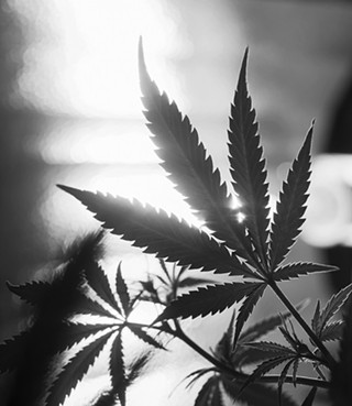 Chautauqua-in-Chagrin: Marijuana