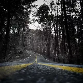 Image: July Gallery Events and Live Music