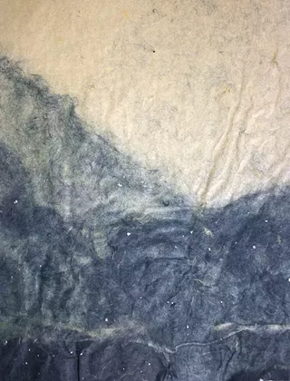 Image: Introduction to Pulp Painting with Anna Tararova