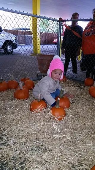 Image: Fall Festival