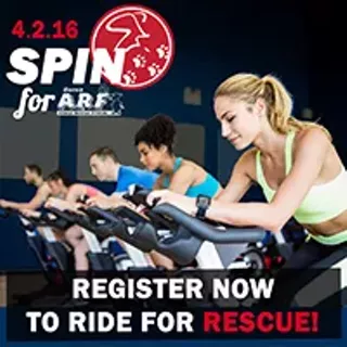 Image: Spin for ARF (Animal Rescue Friends)