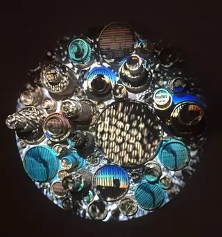 Image: Lunch on Fridays