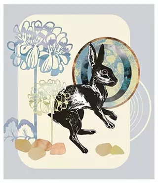 Image: Emergent 2017