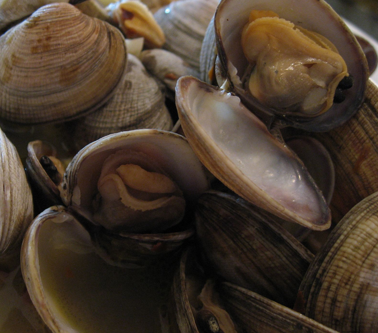 When: Saturday, Oct. 18 from 3 – 6 p.m.
Menu: One dozen clams, choice of chicken or steak, baked potato, corn on the cob, and clam chowder. Extra clams are $7.00.
Cost: $20.00 (chicken) or $25.00(steak)
Limited tickets are available and can be purchased at the Parkview which is located at 1261 West 58th Street. Call (216) 961-1341 for more information. Tickets must be purchased by Oct. 16.