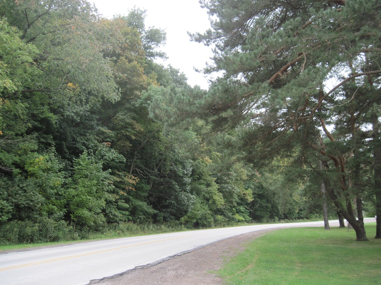 ...Where the trees are beautiful and the cyclists are plenty. Take a moment to park the car and hike deep into the forest. The Cleveland Metroparks system is among the region's most precious gems.