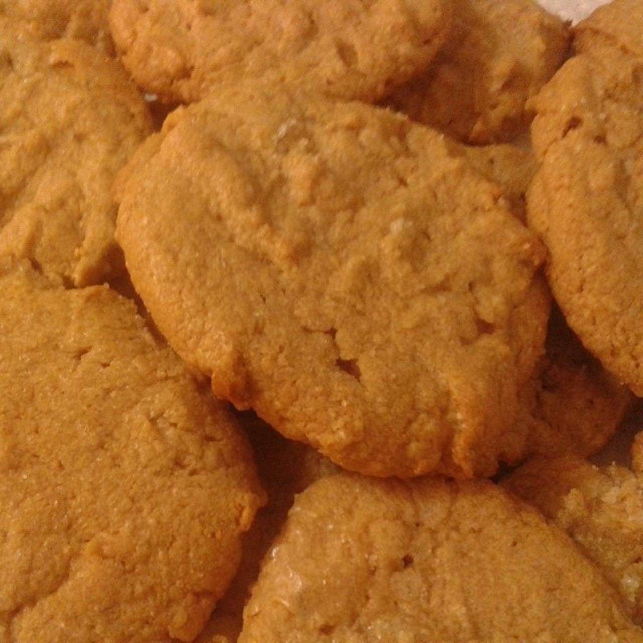 Who doesn’t love a great peanut butter cookie? Tastebuds’ is jumbo size, which makes it even tastier.