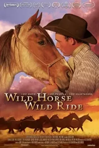 Image: Wild Horse, Wild Ride