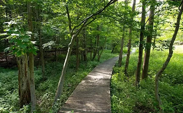 Forbes Crossing Trail, Bedford Reservation           
"Starting from the Forbes Woods Trailhead, take the trail down into the Tinker's Creek Valley as you follow a well-hidden tributary stream. Small fish can sometimes be seen darting through its ripples and runs, and small bridges and boardwalks will take you over the stream as you descend through a deep and maturing woodland area."
