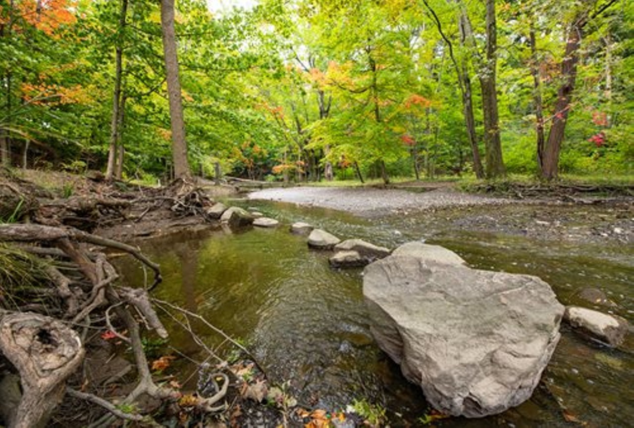 Porters Creek Trail, Huntington Reservation:    
"Wind through the woods along the Porters Creek Trail and enjoy views of birds, meadows, mushrooms and more. Porters Creek flows into Lake Erie at the beach."