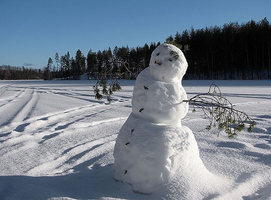Make a Snowman - Seriously. Making a good, or bad, snowman never failed to put a smile on a face.