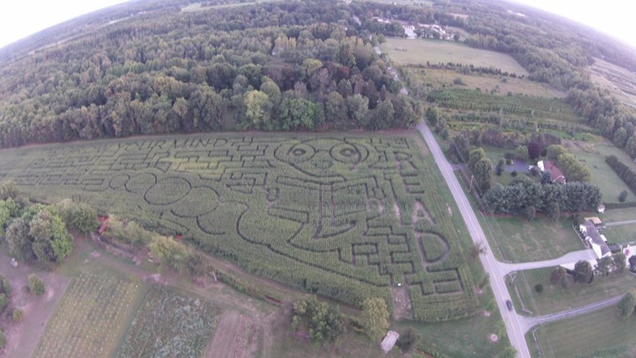 Regal Vineyards Corn Maze and Pumpkin Patch - Lake County, Sept. 12 - Nov. 1
This year's corn maze has a theme that  can be discerned from looking closely at an aerial view of the event. The farm is promoting reading by testing visitors' reading skills as they make their way through the maze. Free books for those who make it through, plus hayrides, corn cannons, and pumpkin patches. Head to Regal Vineyards for an educational fall day. (Photo courtesy of Regal Vineyards Facebook Page)
2678 County Line Rd, Madison