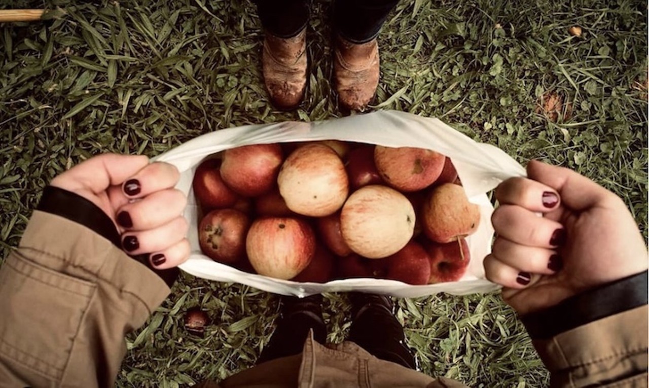  It's Pick-Your-Own-Apples season
Through Oct. 31
Photo via krystaaa15/Instagram