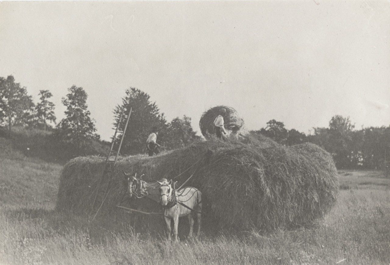 Haying scene in Edgewater park about 1910. (Men bailing hay in the park, formerly Perkins Farm. Two horses can be seen in the foreground.)