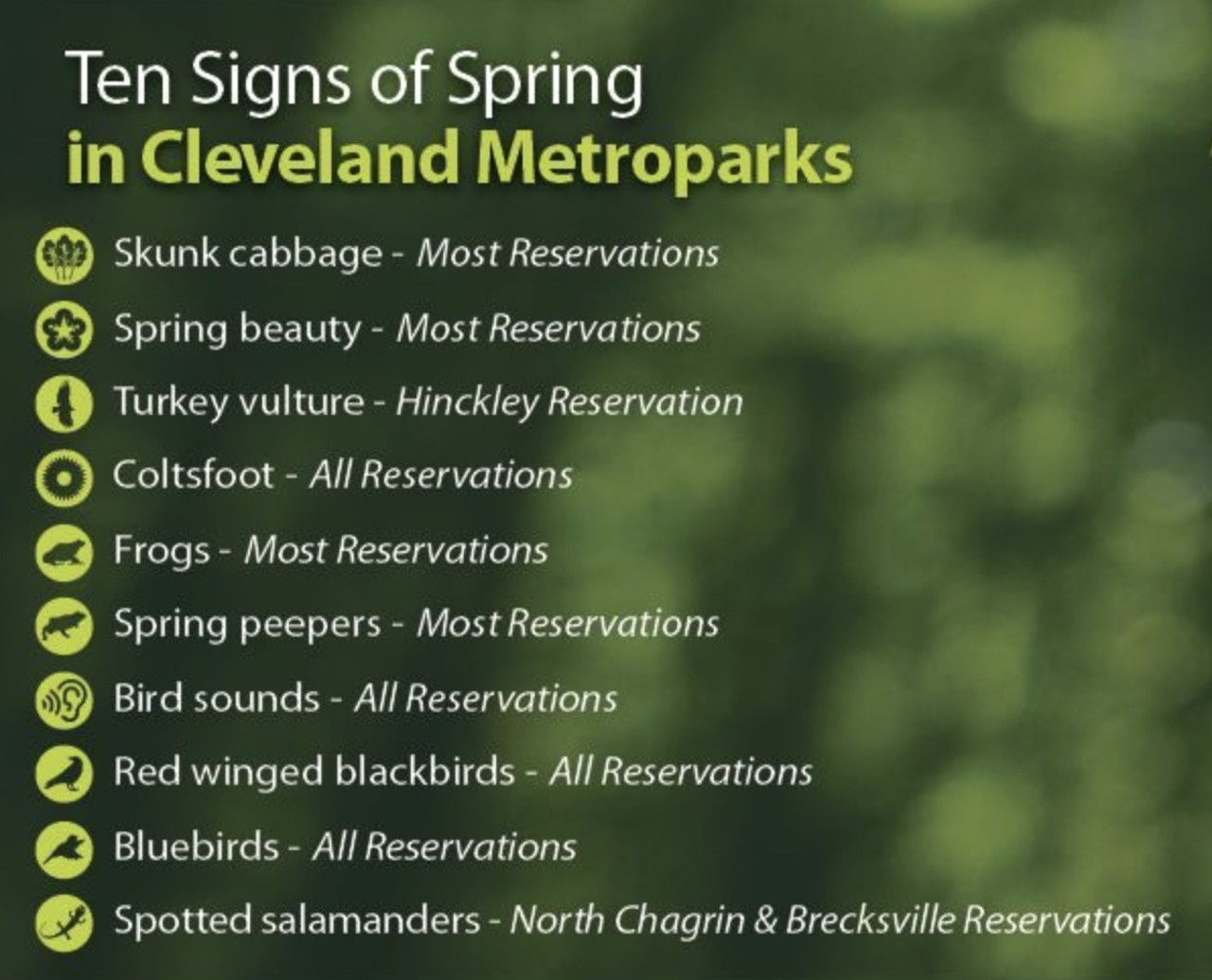Actual Nature Stuff
Beyond the birds, the signs of spring are all around the Metroparks if you know what to look for and thankfully the Metropark’s is here for you.
