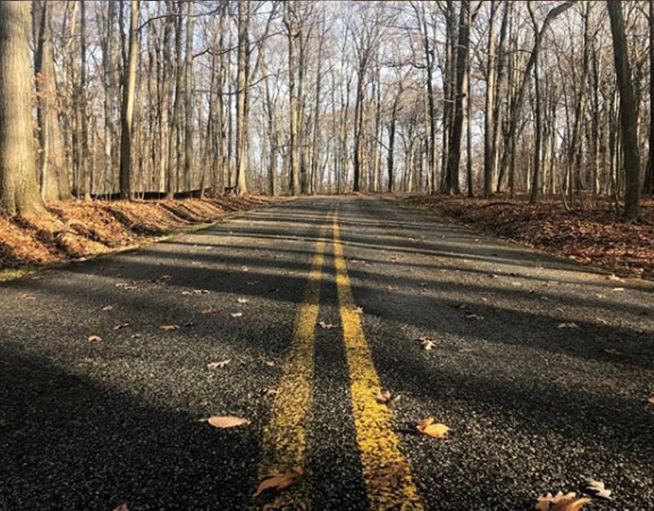 Chapin Forest Reservation
9938 Chillicothe Rd., 440-639-7275  
With six miles of trail, this reservation is open year-round for entertainment. Hike, run or ski through the thick forest, or check out Lucky Stone Loop trail for a spectacular view of Lake Erie.
Photo via bri_gavin13/Instagram