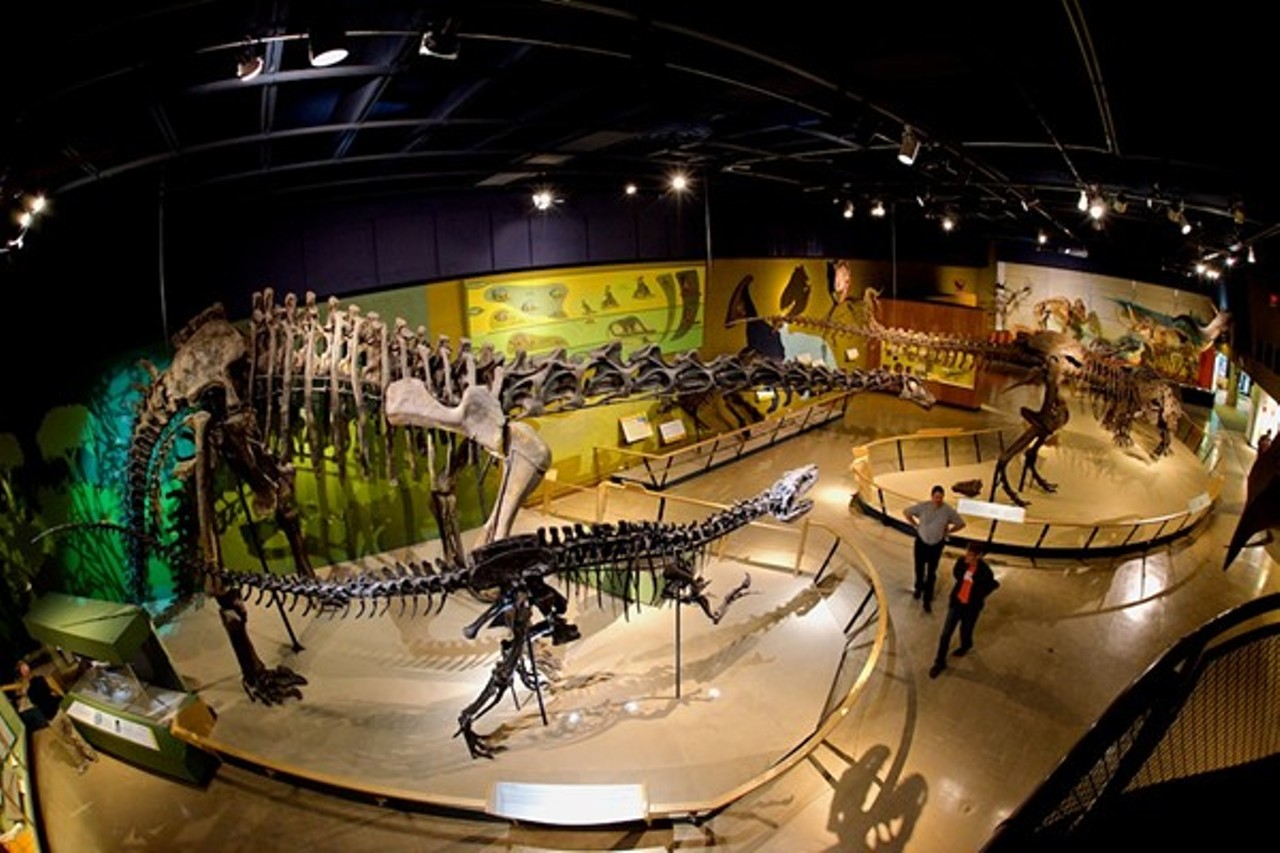  Visit the Natural History Museum
In addition to their permanent exhibits, currently on display at the Natural History Museum is Wildlife Rescue, an exhibit focusing on animal conservation. It&#146;ll be there for the next six months. Sounds good to us!
Photo via Scene Archives