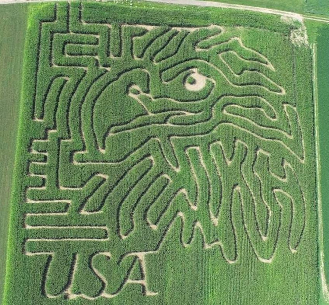 Hit Up A Corn Maze
Corn mazes, yes corn mazes are big things. I mean, we live in Ohio, what else do you expect?