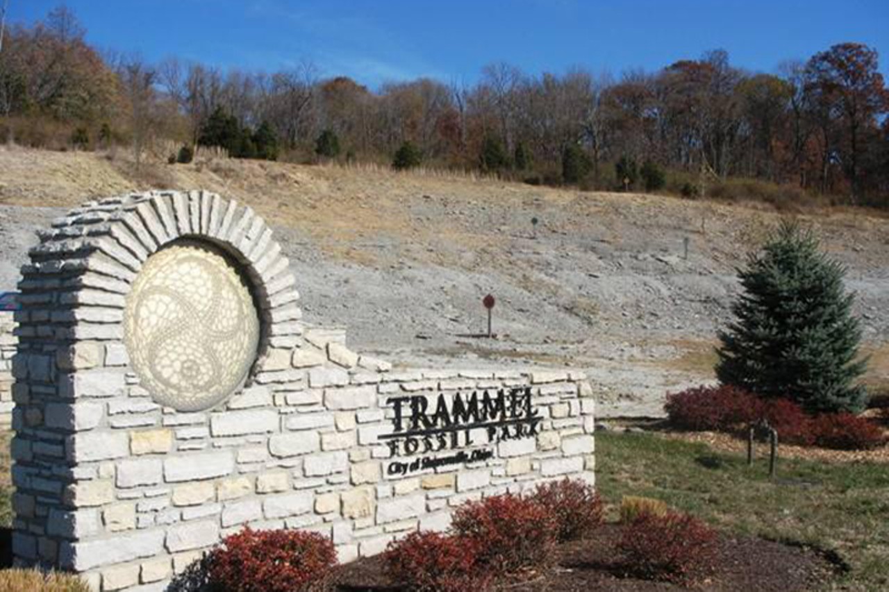 Go Fossil Hunting at the Trammel Fossil Park
10900 Reading Road, Sharonville 
Named after the Trammel Family, this undisturbed hillside draws newcomers and paleontology enthusiasts alike for Ordovician-age fossil hunting. The park offers a pavilion with a kiosk to help learn about and identify fossils, as well as a nearby geocaching site. Because the slope is exposed, be sure to bring sun protection for an undisturbed, all-day rock-hunting experience. 
Photo via Trammel Fossil Park/Facebook