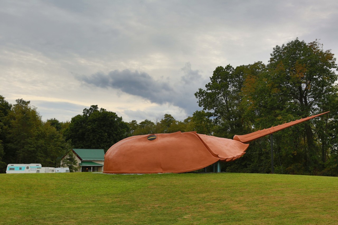  World’s Largest Horseshoe Crab 
7529 OH-124, Hillsboro 
At the Freedom Worship Church in Blanchester, the World’s Largest Horseshoe Crab was built in 1995. In 2015, the crab sold and was reassembled in Hillsboro, 25 miles from its original location. The crab, known as Crabbie, is 28 feet wide, 67 feet long, and 12 feet high.