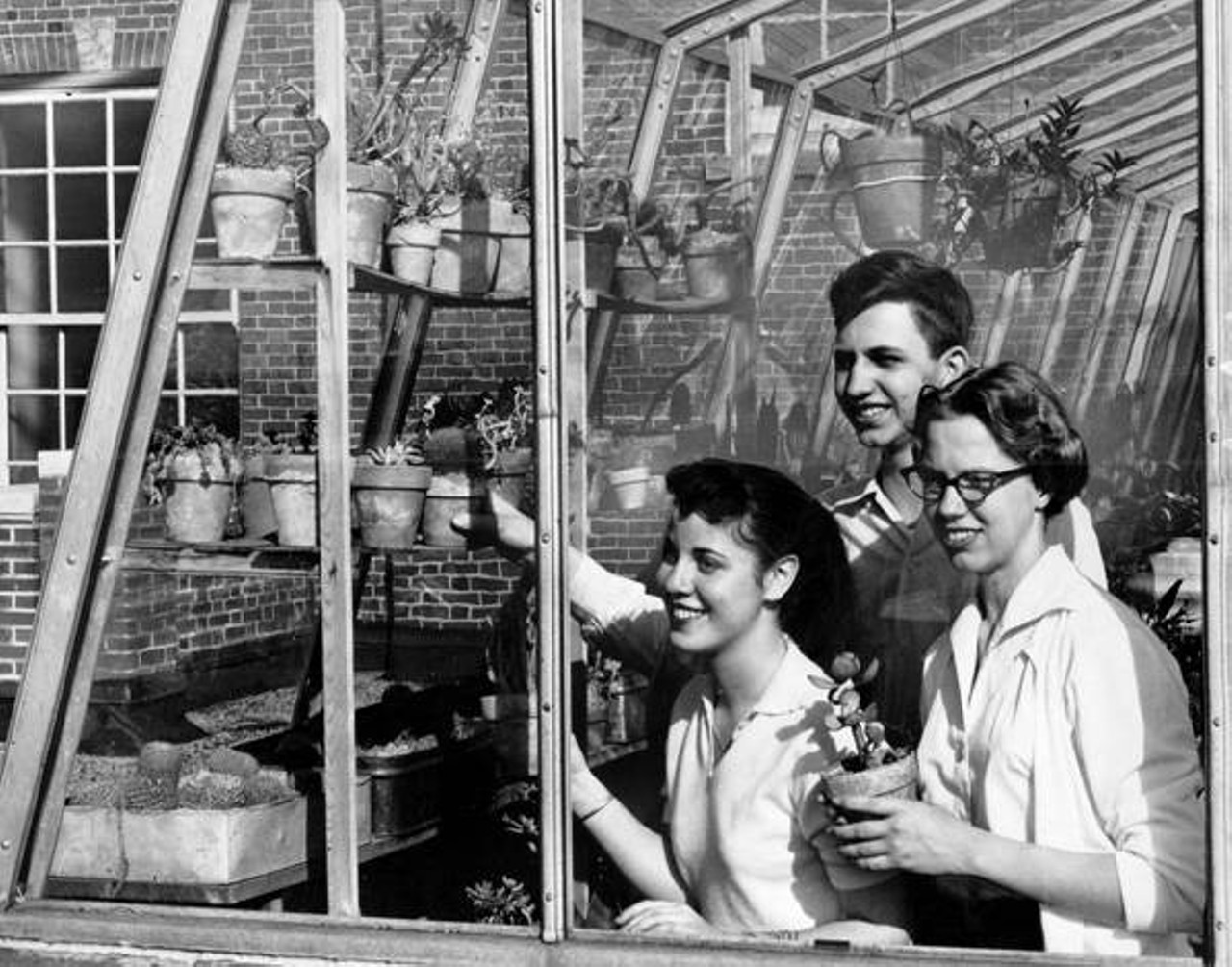 Caring for plants in the greenhouse on the roof of Shaker Heights High, 1956