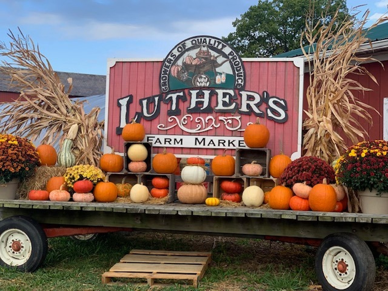  Luther&#146;s Farm Market Fall Fest
5150 Alger Rd., Richfield
Fall Fest is held on Saturdays and Sundays in October (10 a.m. to 6 p.m.) and features plenty of family-friendly activities, including hayrides, corn and hay mazes, games, a petting farm, and food. The most famous attraction is the pumpkin cannon. The market also offers pumpkins, corn stalks, mums, and straw bales until October 31 for fall decorating.
Photo via Luther's Farm and Market/Facebook
